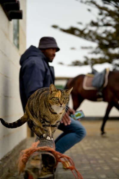 Highlights (6 of 231)_resized.jpg